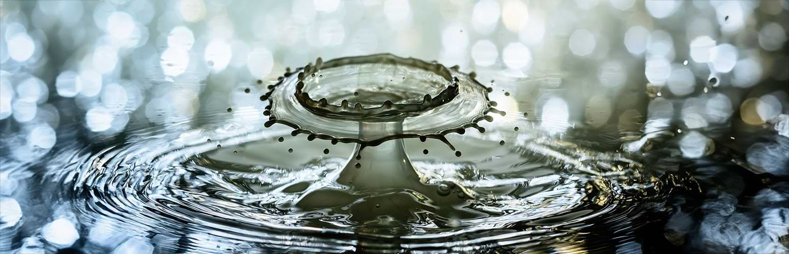 food plant process water heating